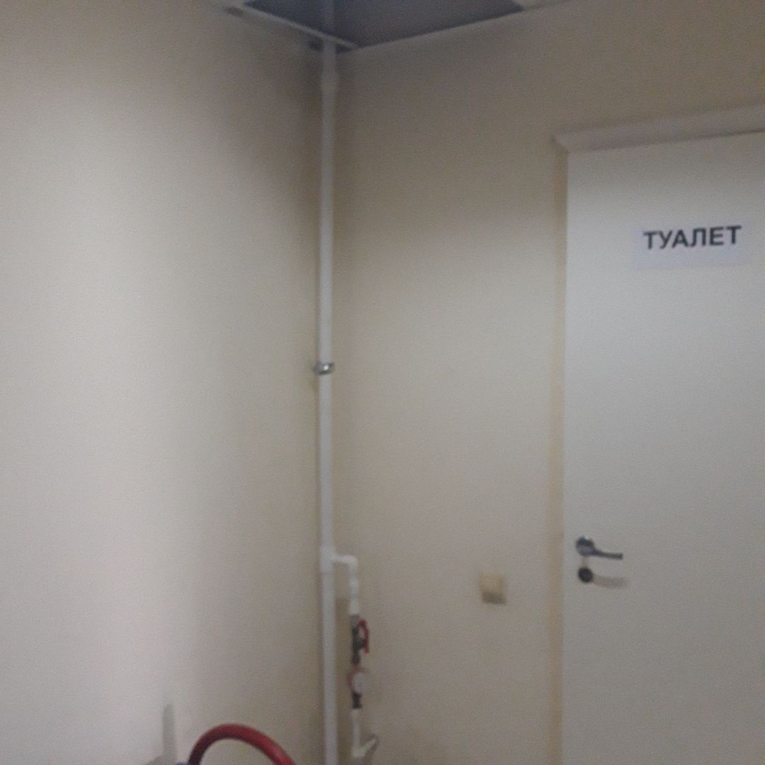 20260817_125418.jpg