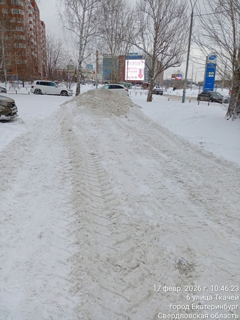 5253799306270021367 (1).jpg