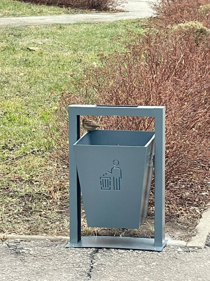 photo_5316925305362517811_y (1).jpg