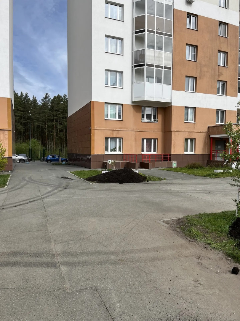 dfd81537-d8c9-4e9d-ac2b-560105ab79f2.jpg