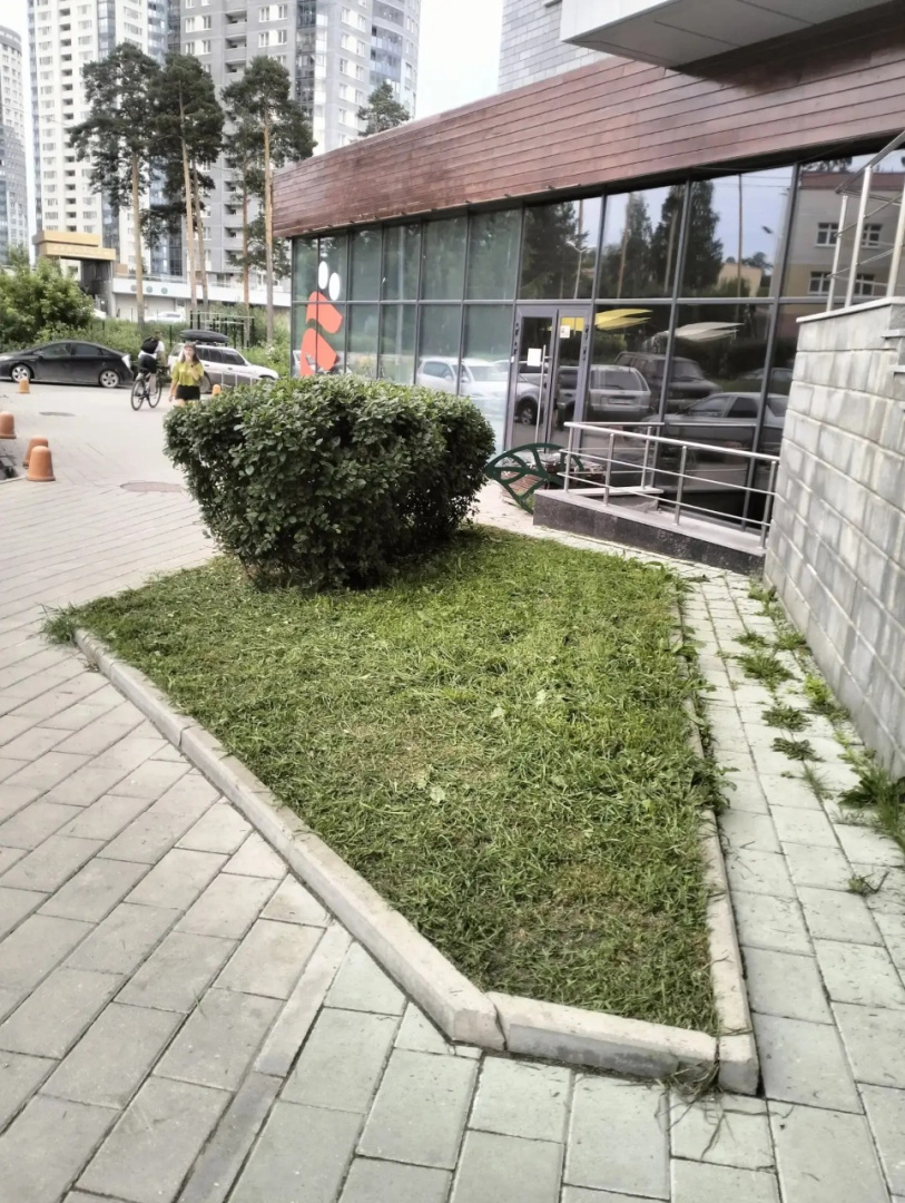 image (3) (2).png