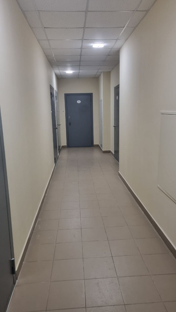 5461006558901767053.jpg 5461006558901767053.jpg