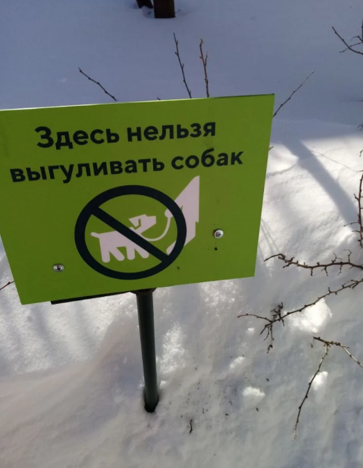 новость к4.png