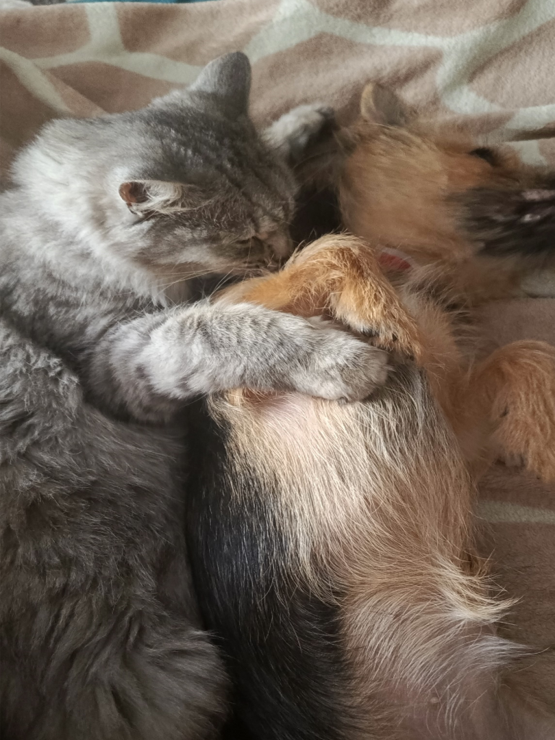 5k36RaGWvwI7mS-89FaHeqqcu9kmyATUF61Pd3yz2klsTWDUll7Nfvrdu3bnJjixuGHywldw6-TSmE97qr-Zksvr (1).jpg.png