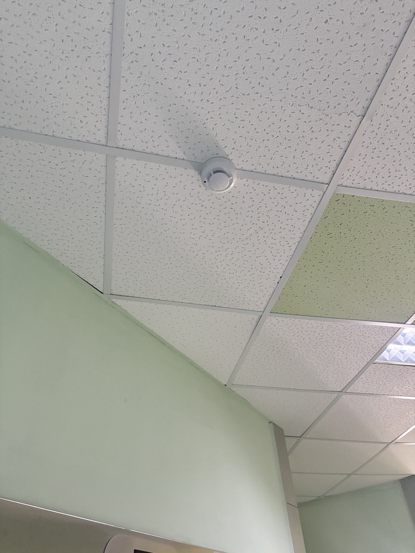 handled_IMG_6551_1080_1920_80 (1).jpg