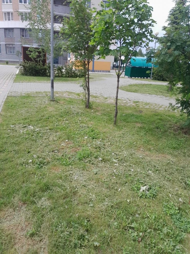 2 (189).jpg