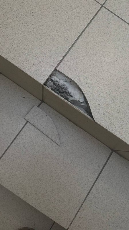 5280799261694038918 (1).jpg