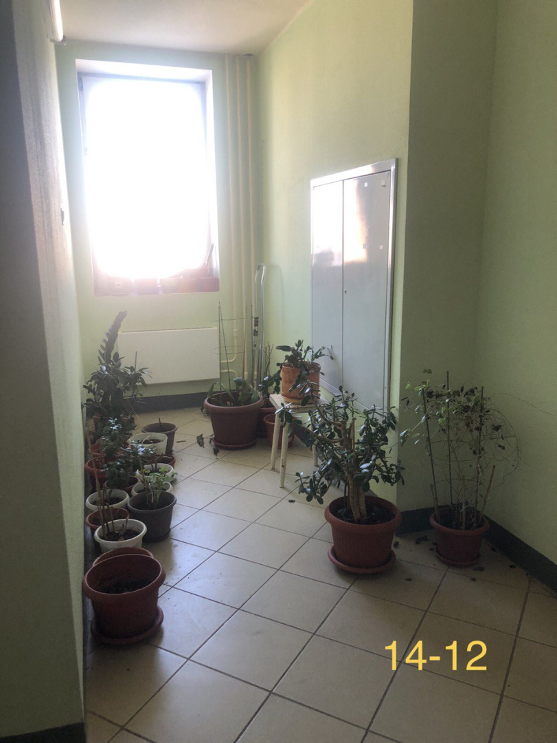 photo_2026-03-10_11-36-42.jpg photo_2026-03-10_11-36-42.jpg