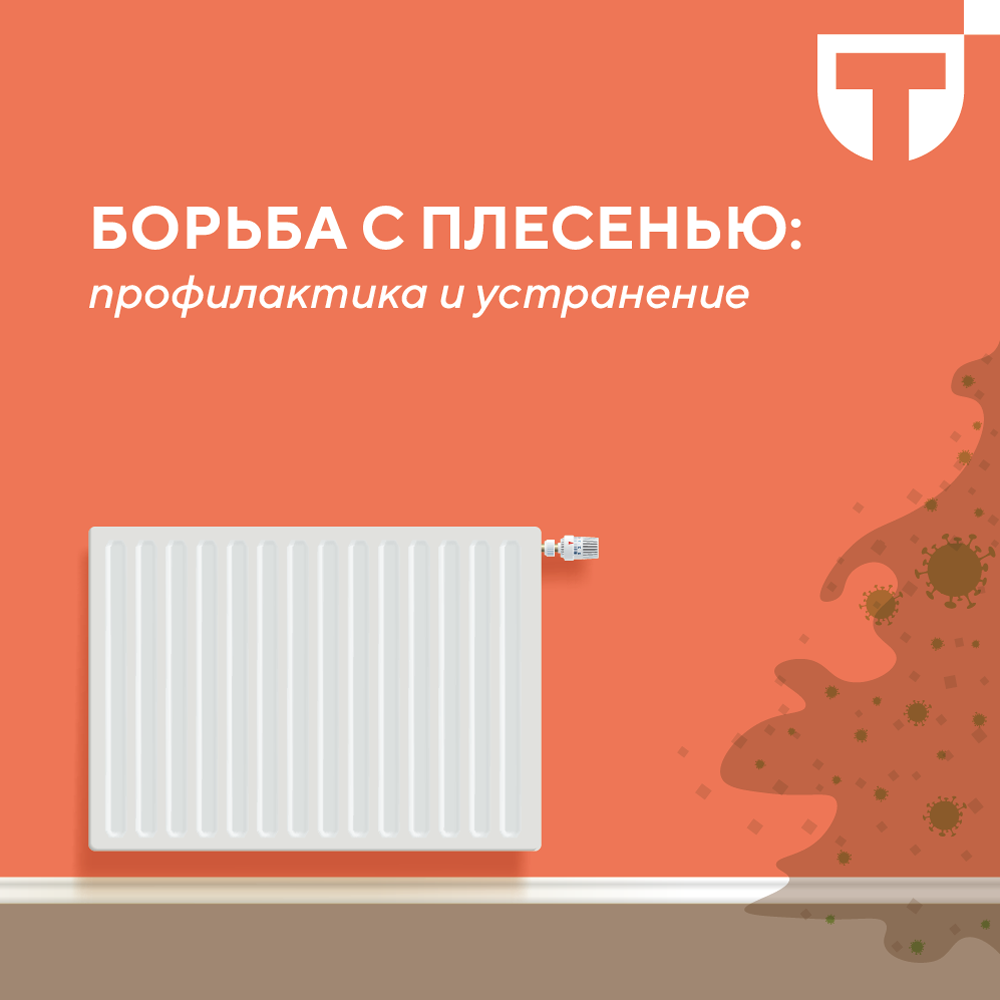 плесень.png плесень.png