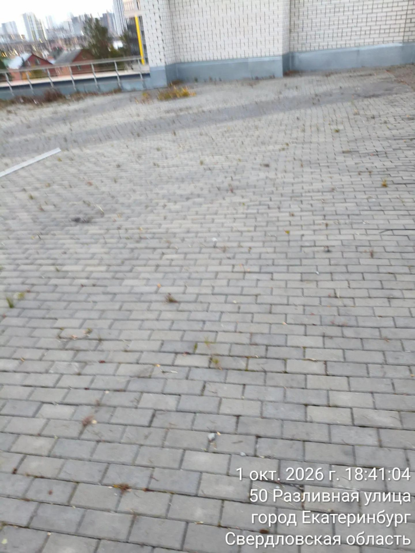 IMG_20261002_110158.jpg