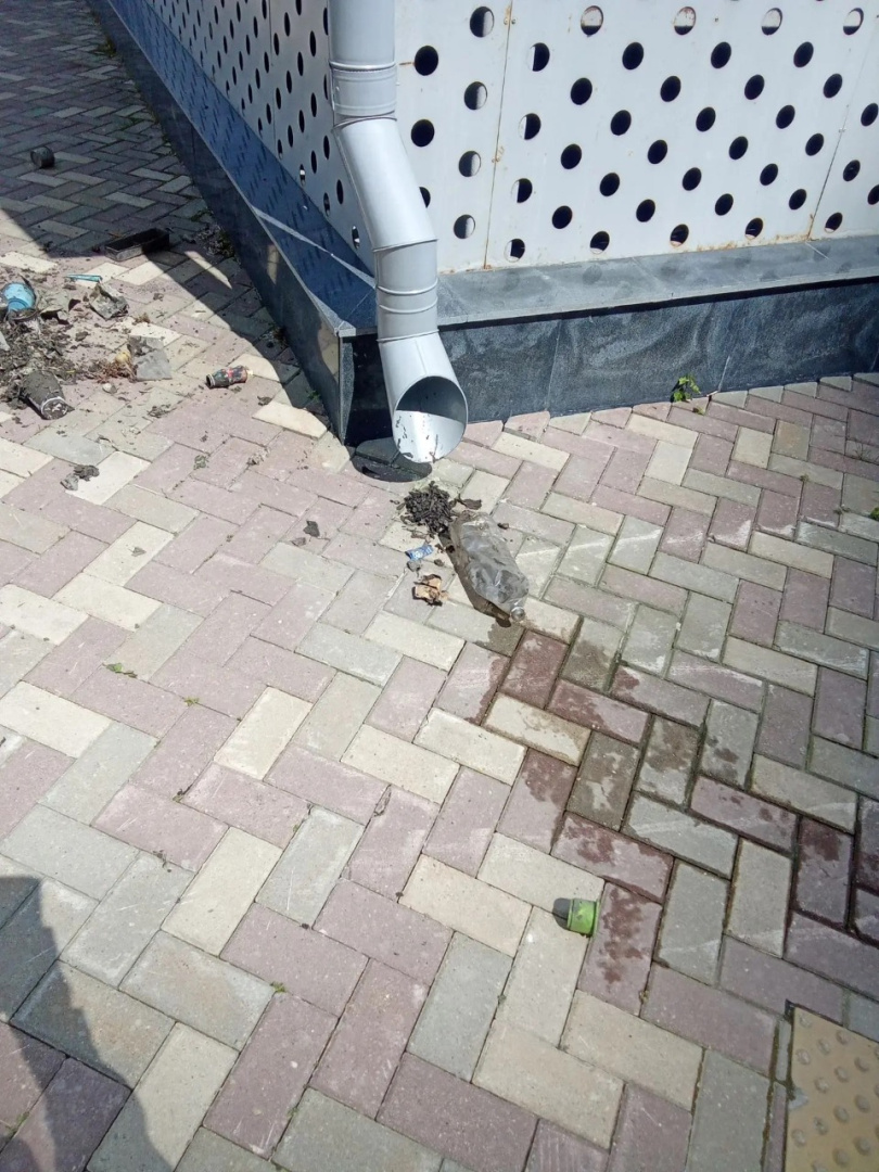 72f7db4d-e7e4-45de-b1f7-43ec739bedb6.jpg