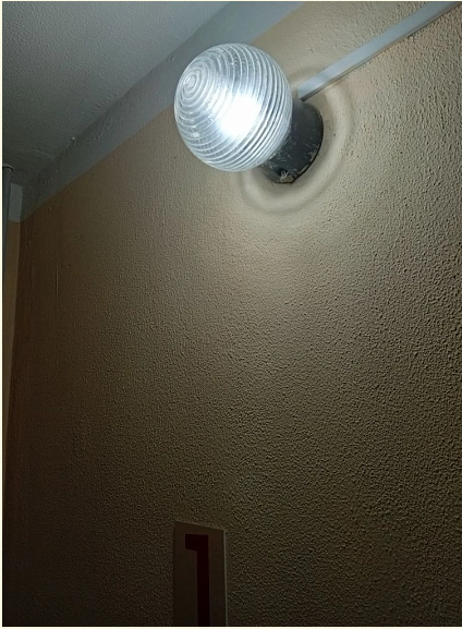 выложить 2 февраля .png