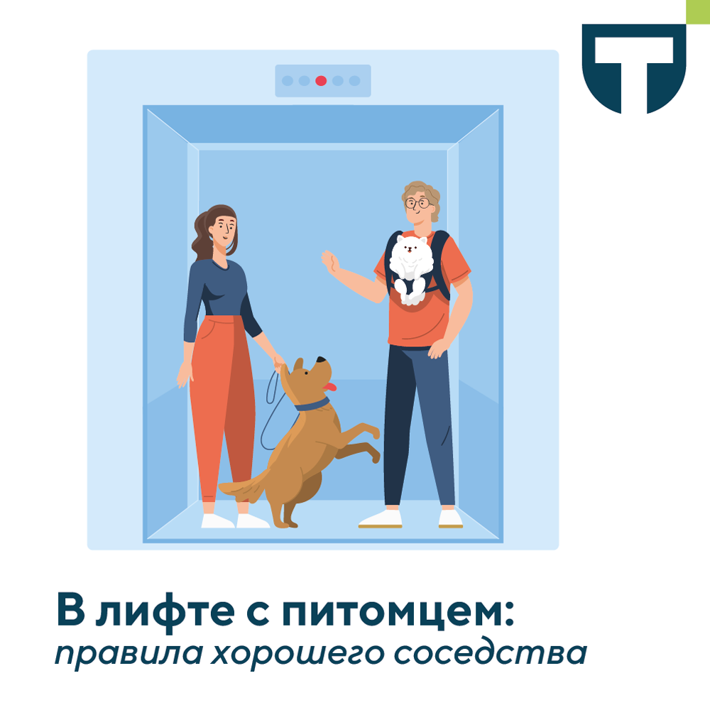 лифт с питомцем.png лифт с питомцем.png
