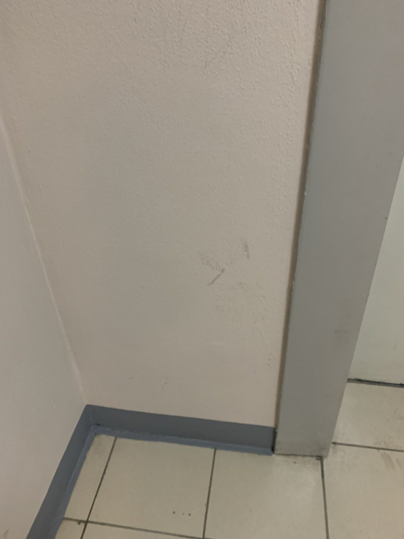 photo_5314614346669297697_y.jpg photo_5314614346669297697_y.jpg