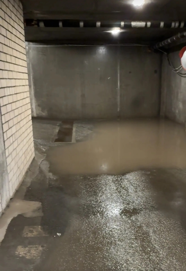 Паркинг (2).jpg