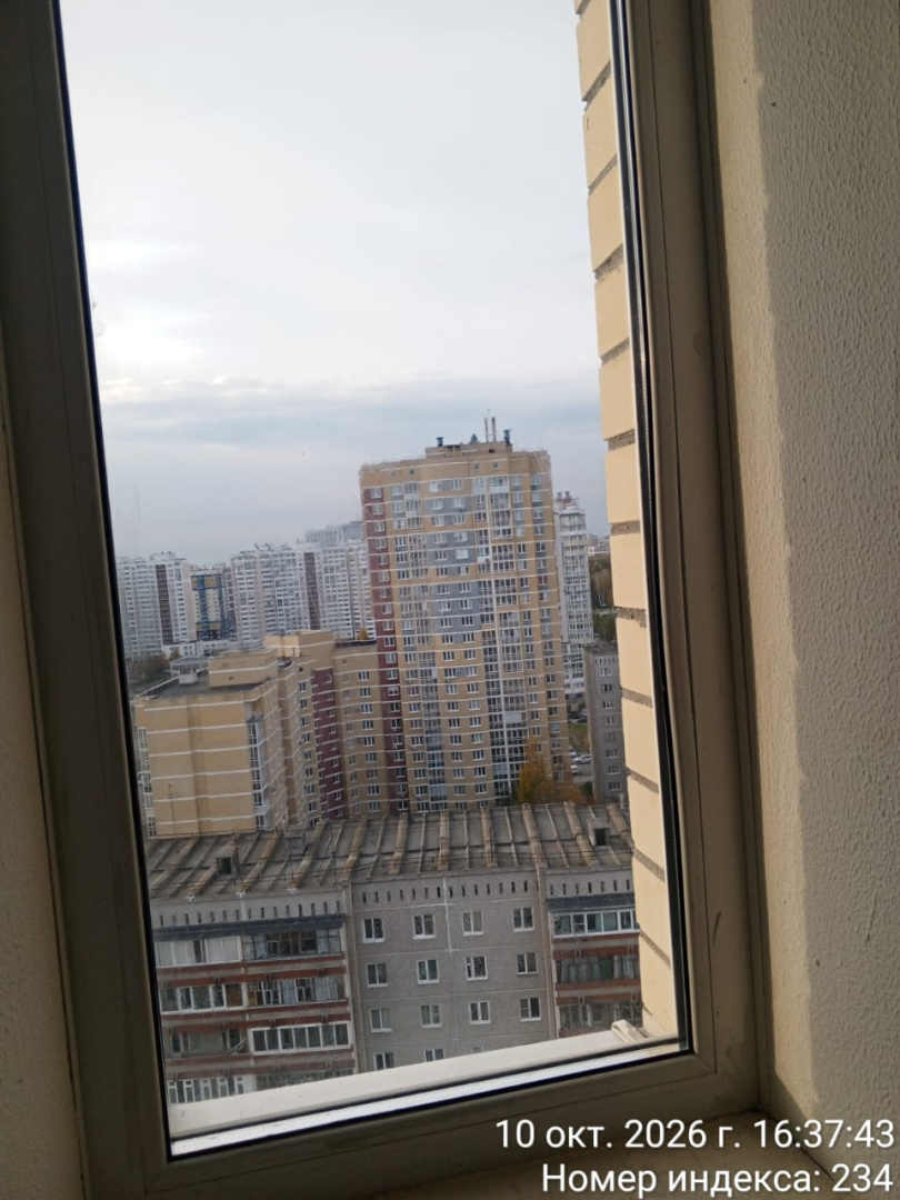 2881f826-e239-4539-9436-03d2b1956336.jpg