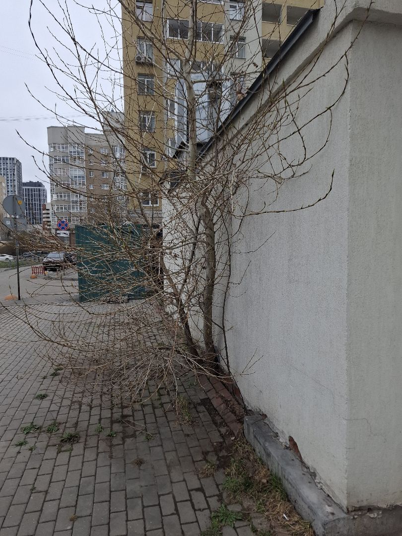 20260409_101955 (1).jpg