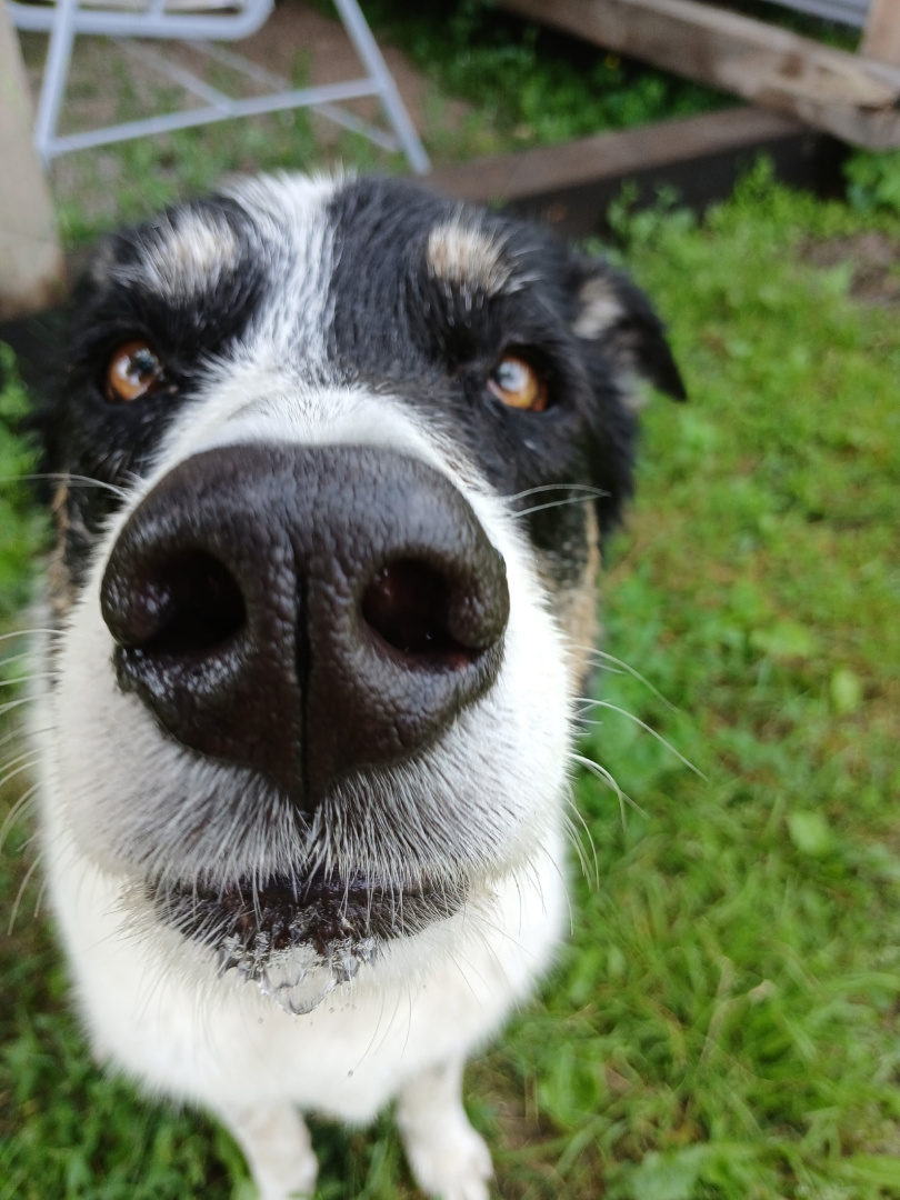 jD6fI7oT-g2UoutSNunU4GHc_WiNl0LLBLbXxhcbSGrFO4OKr26Fol0FXS7kV5XjwL6b-h1wkh4JfzVzljn-YwxW (1).jpg