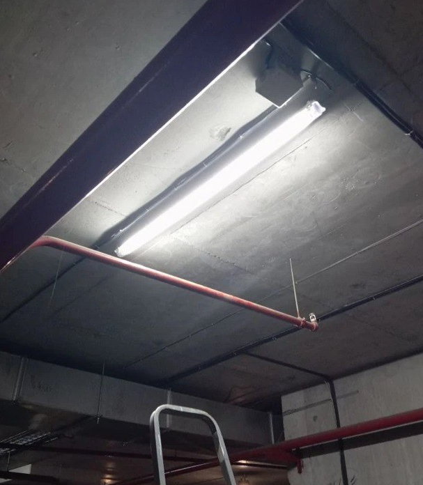 Screenshot_1 (19).png