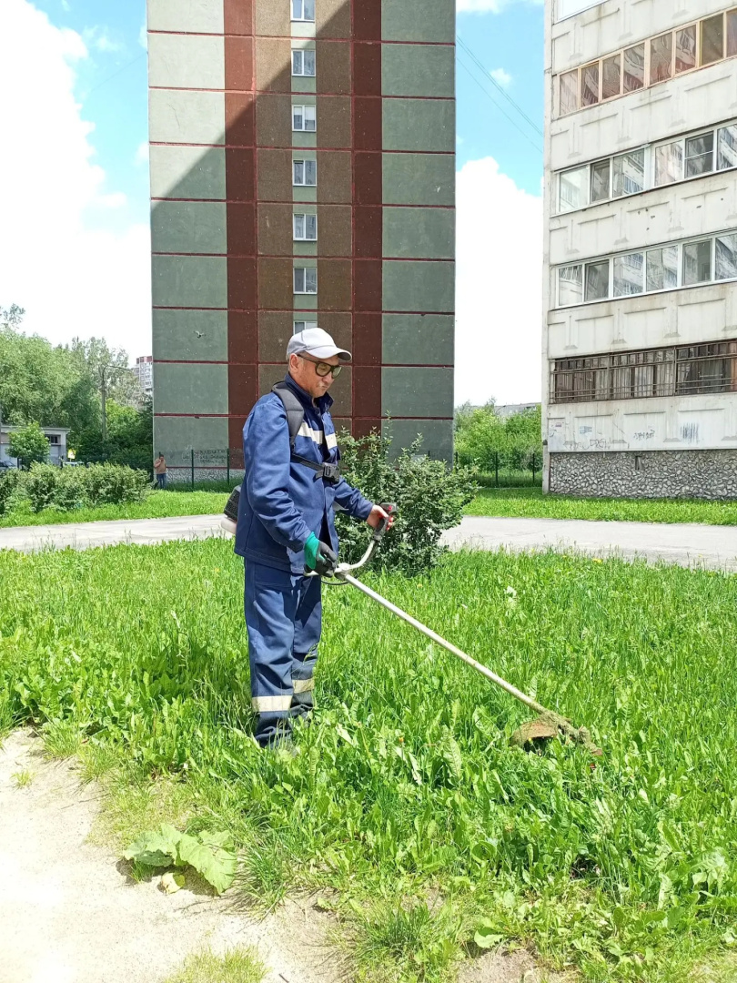 покос Новгородцевой 23.jpg