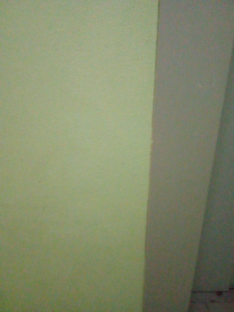 IMG_20260213_092912_441 (1).jpg