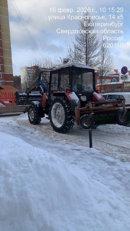 5229120187964004230 (1).jpg