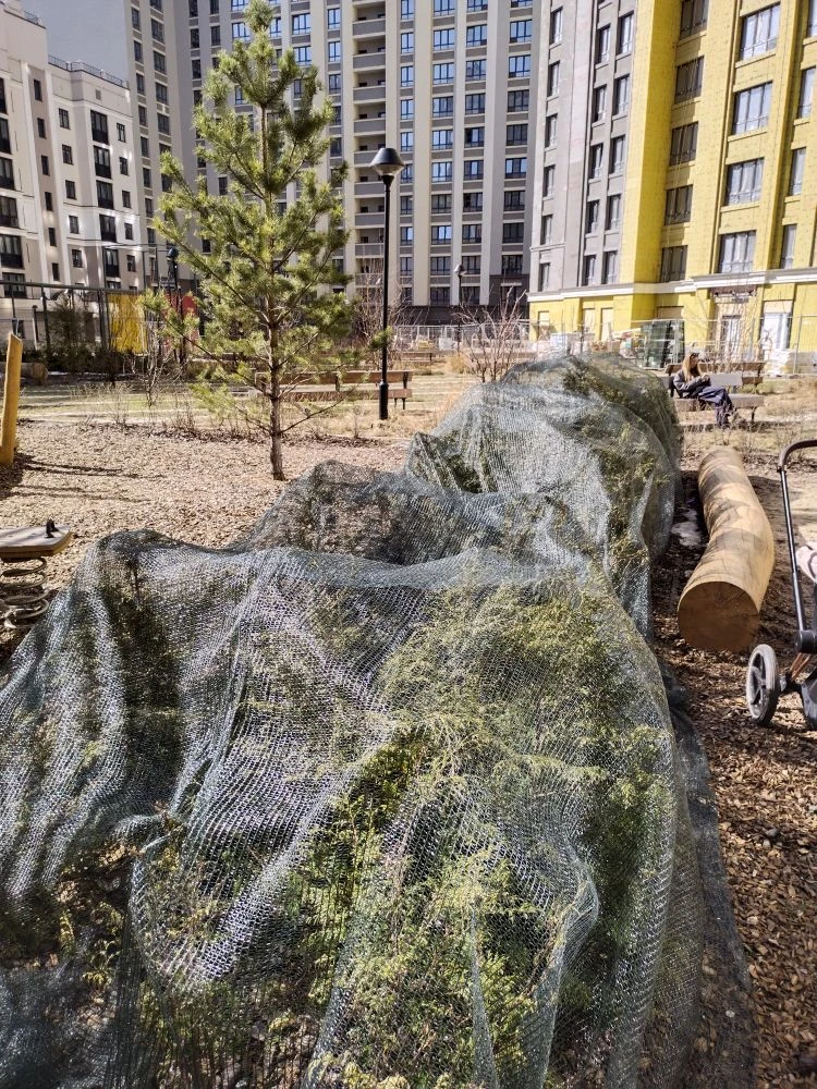 8045d4cf-c155-4f71-993a-4265eac0573a.jpg 8045d4cf-c155-4f71-993a-4265eac0573a.jpg