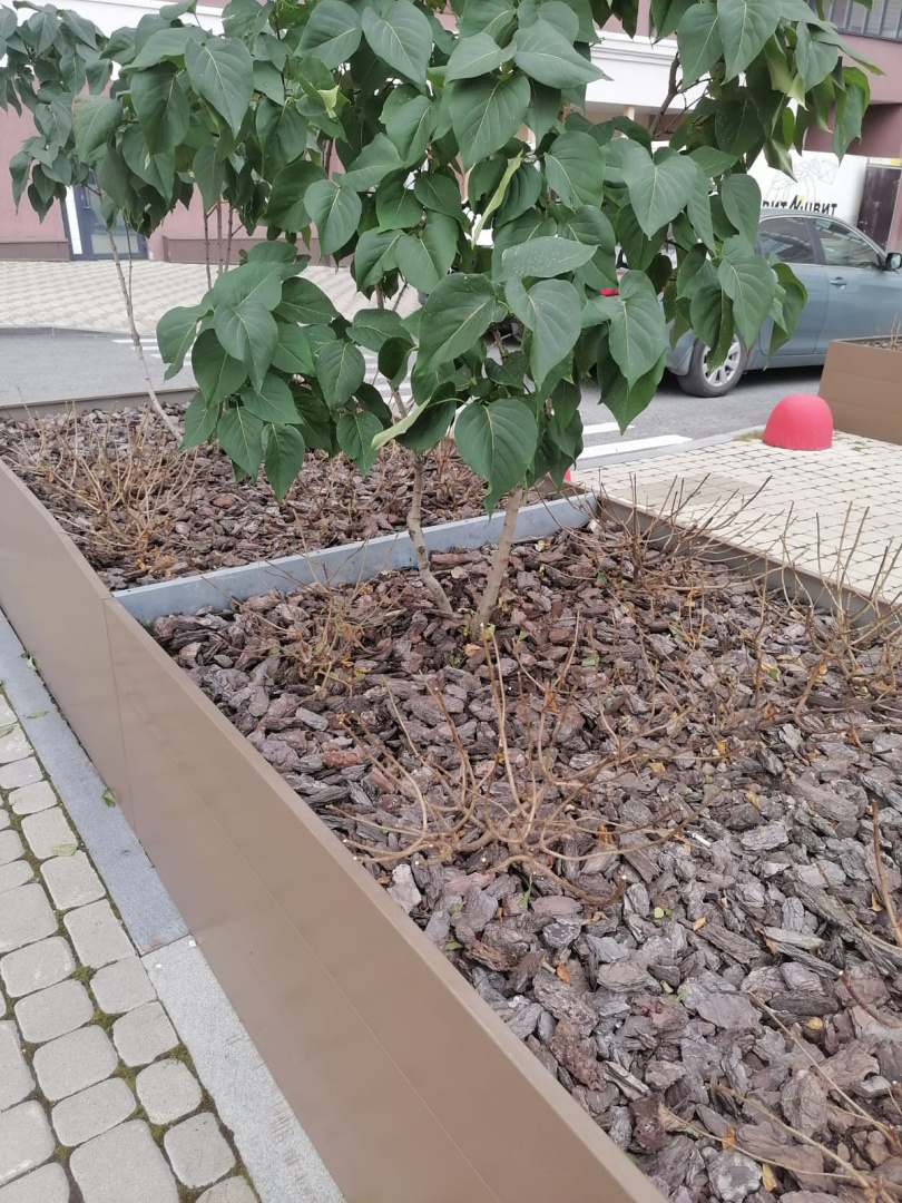 WhatsApp Image 2025-10-10 at 11.15.44.jpeg