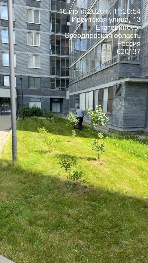 IMG_20260623_111439.jpeg
