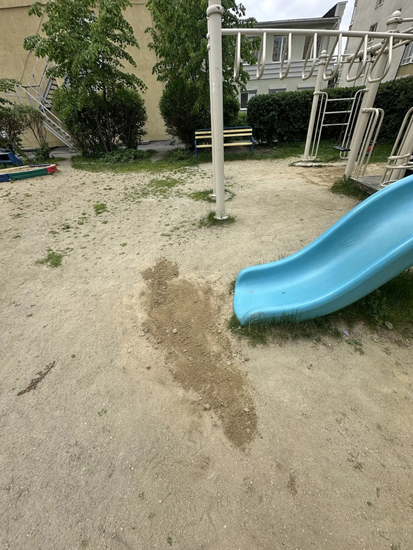 83c0ae94-803e-4058-842d-d7c2b6db9019.jpg