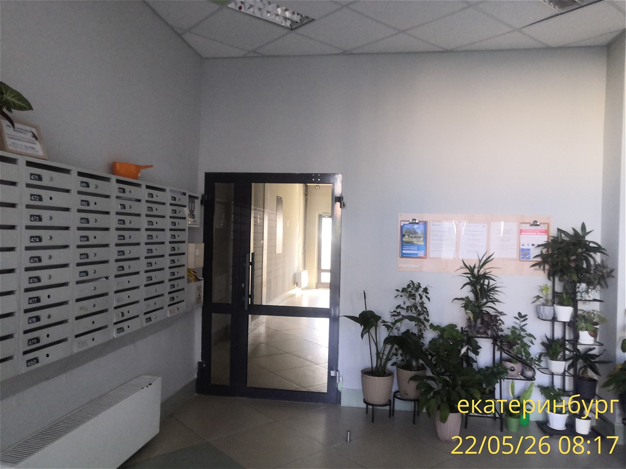 IMG_20260522_081737.jpg