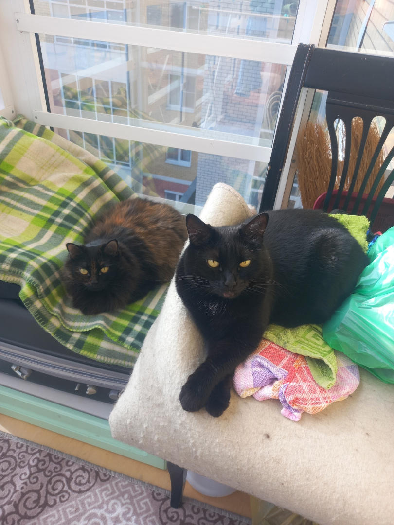 PELMTlF_xmSfvxUvJSD8GoBYn4Emv7v9gs0OjAfDoNsrxvZaK8cv43ASph_ttJOgXYgPPhinO_0_n4oPJnqBKEpZ (1).jpg