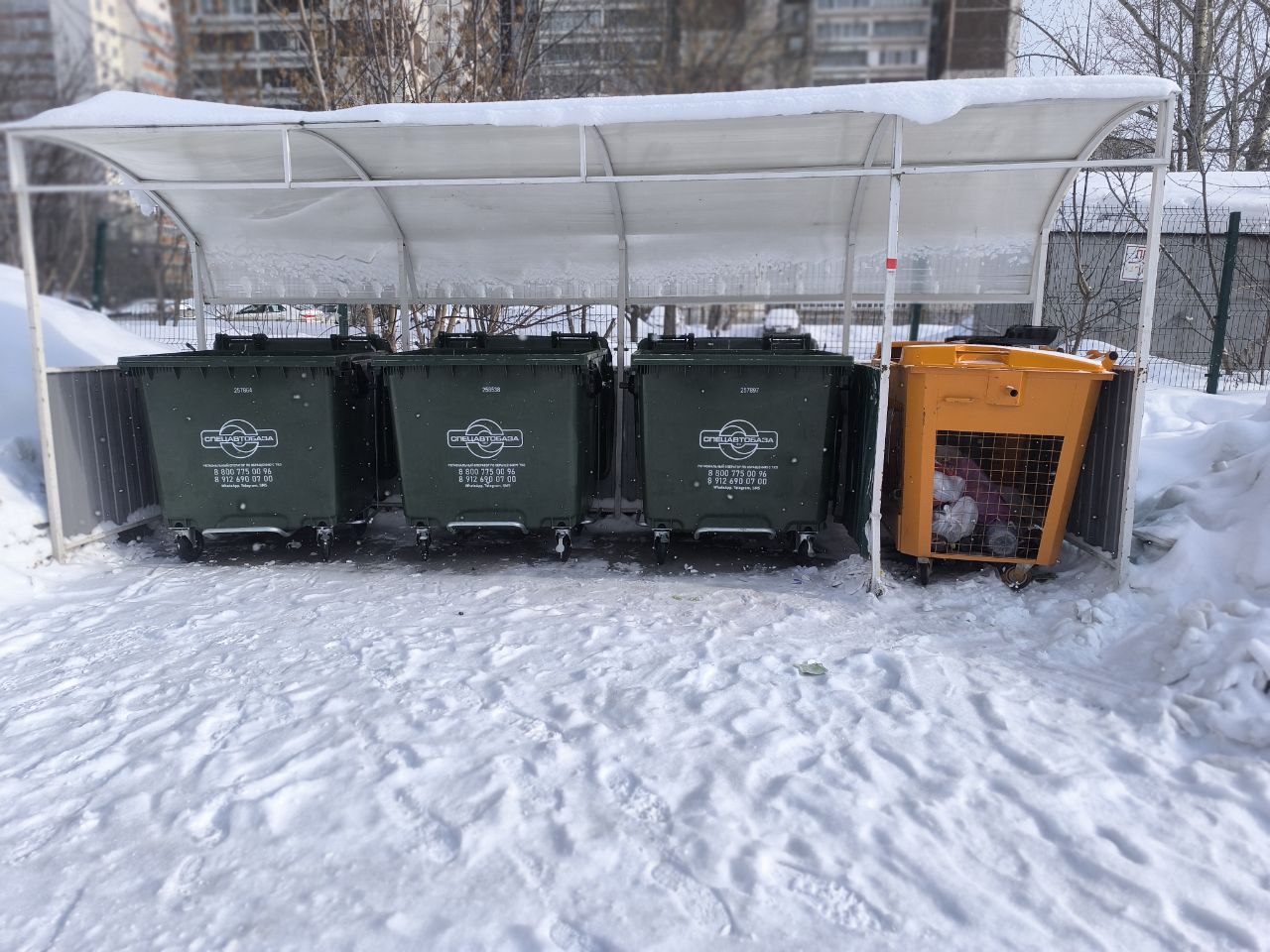 дератизация (1).jpg