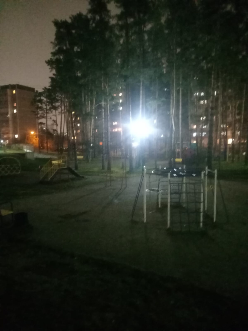 Техн.156 заменить 1 лампу на светильнике дворового освещения.jpeg