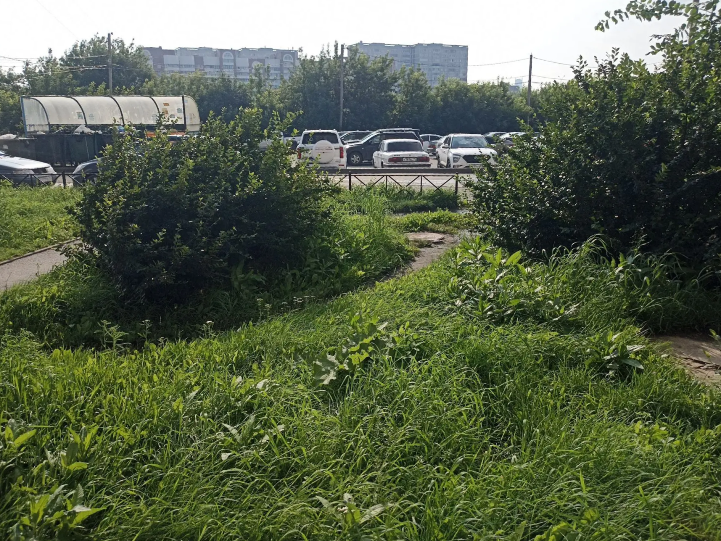 IMG_20260723_135938.png