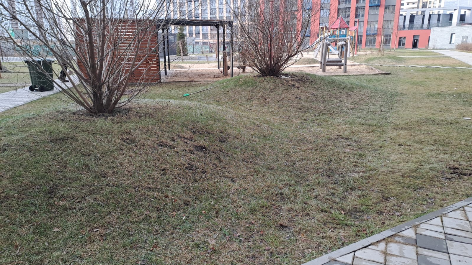 WhatsApp Image 2025-11-17 at 14.27.00.jpeg