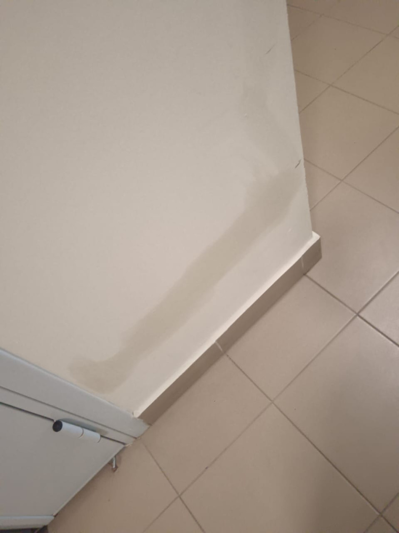 WhatsApp Image 2025-10-30 at 17.35.05.jpeg