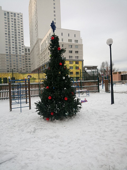 photo_5321404410791398561_y (1).jpg