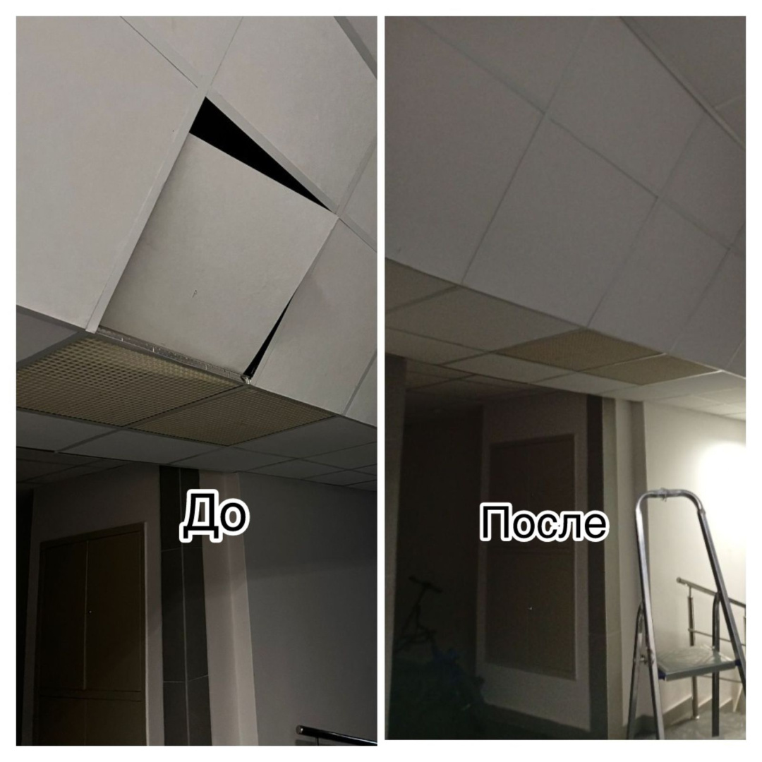 WhatsApp Image 2025-11-12 at 11.28.57.jpeg