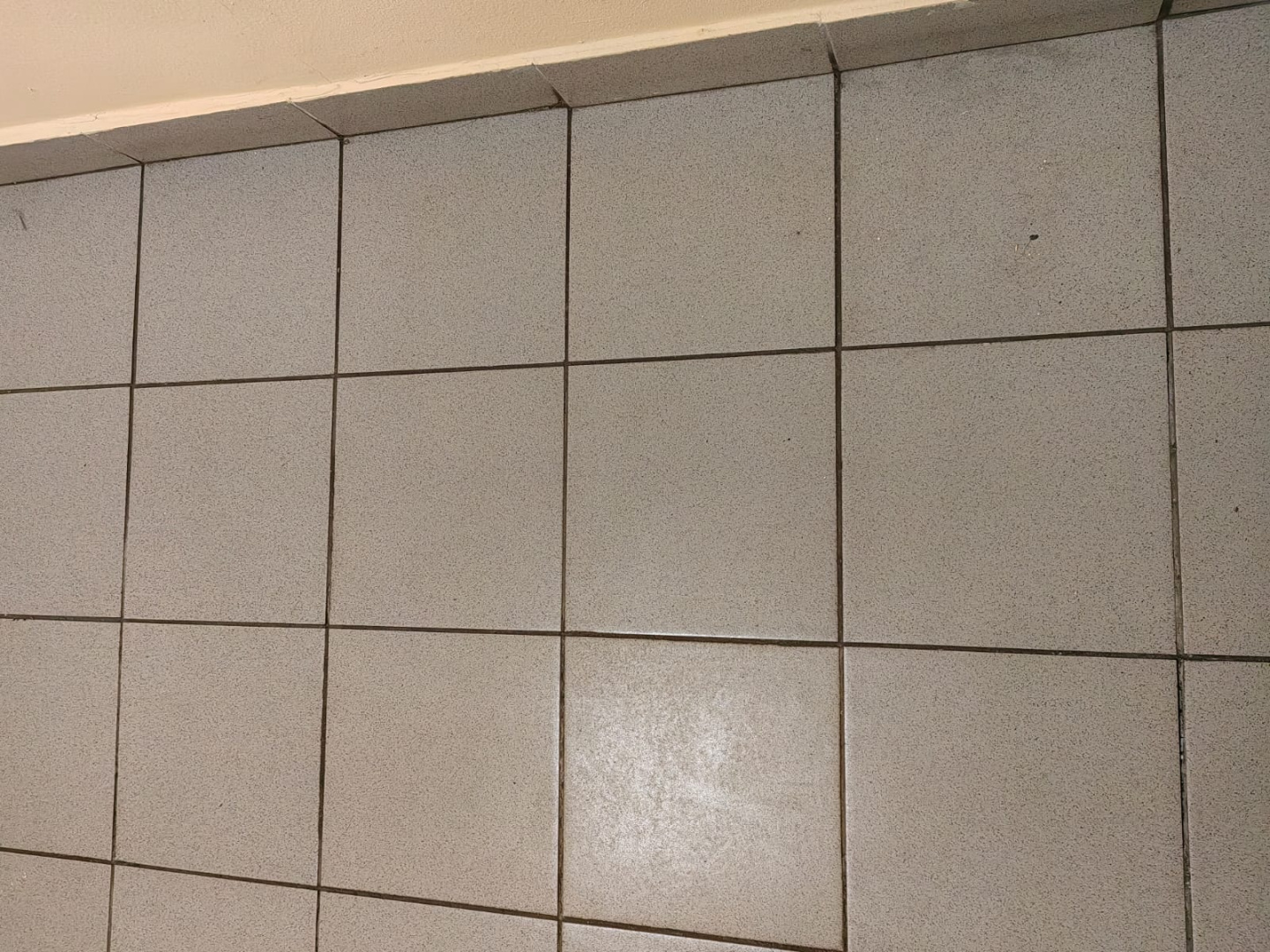 WhatsApp Image 2025-11-10 at 09.34.28.jpeg