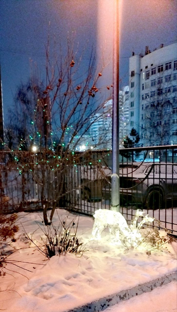 photo_5325648435480300317_y.jpg photo_5325648435480300317_y.jpg