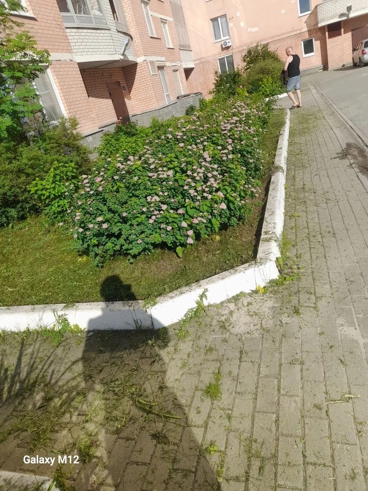 4 под. (2).jpg