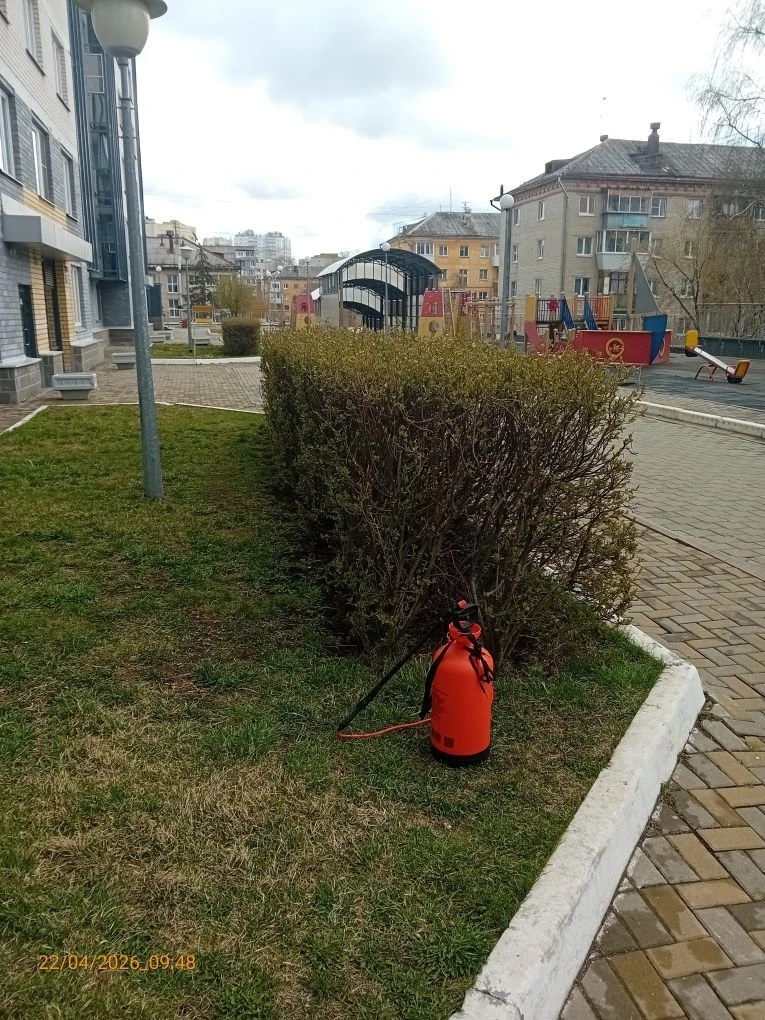 2 (182).jpg