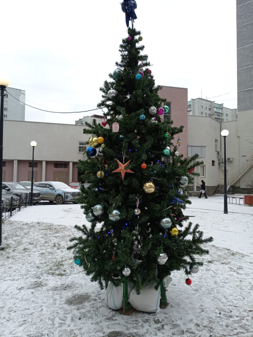 WhatsApp Image 2025-12-03 at 12.21.03.jpeg