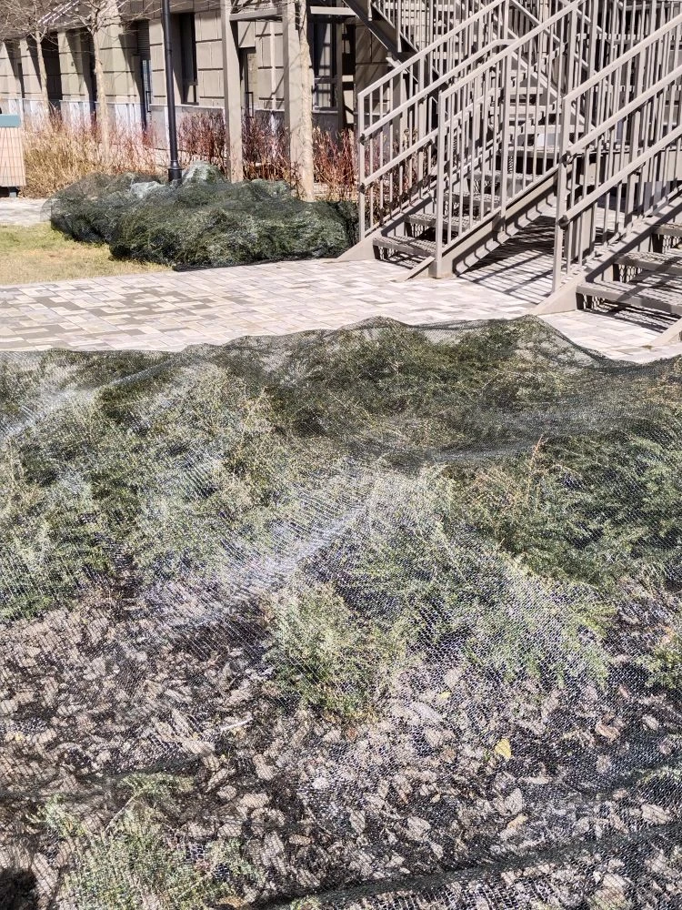 4518bf9b-c2e5-4cb9-b131-c061f926cb3a.jpg 4518bf9b-c2e5-4cb9-b131-c061f926cb3a.jpg