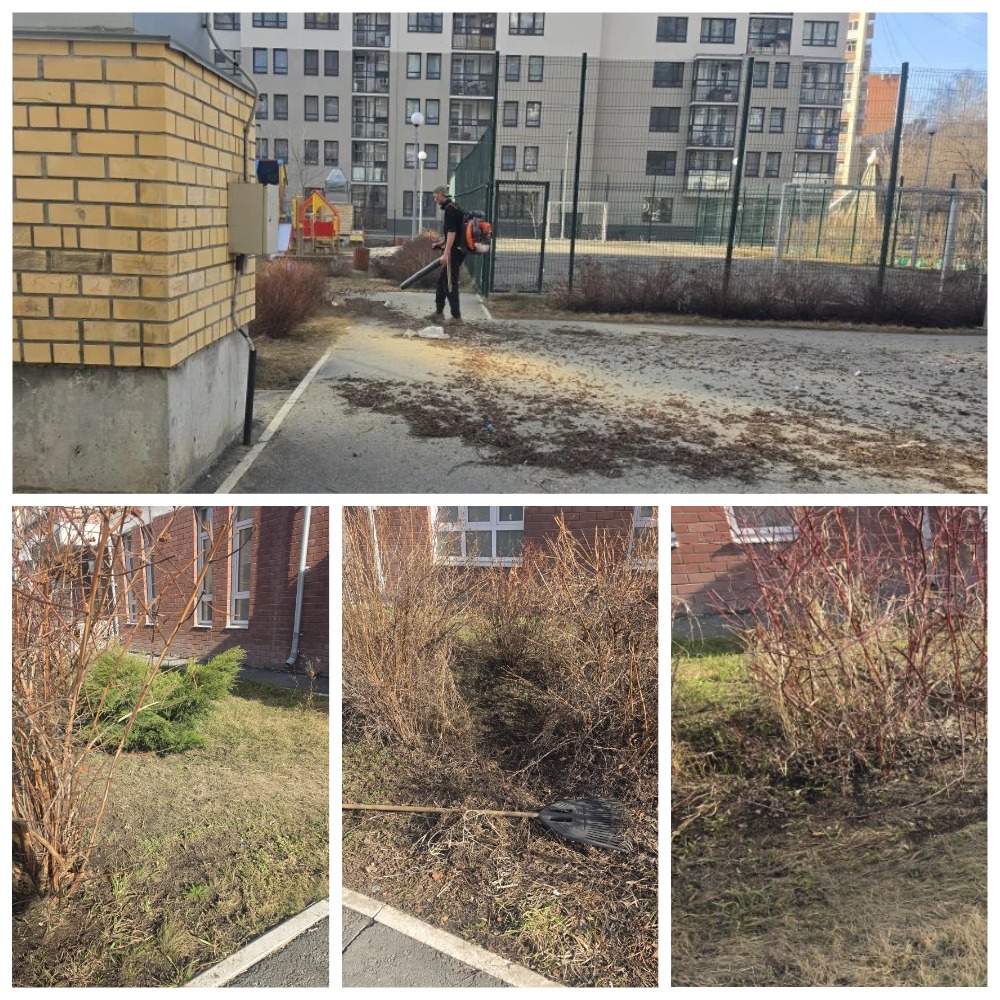 MyCollages (1) (3).jpg