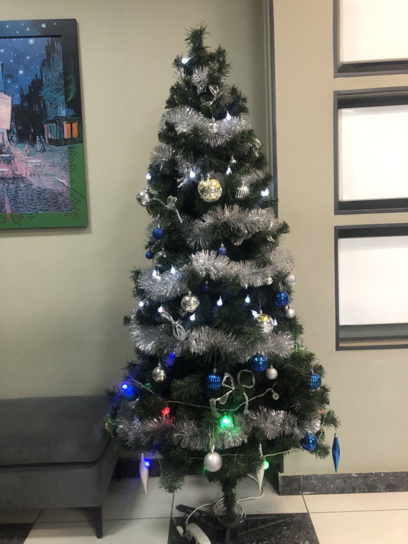 пех4к1 ёлка 2025.jpg