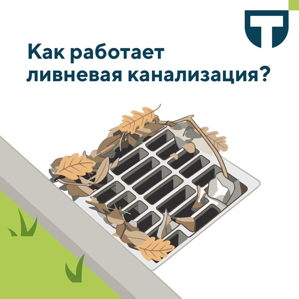 ливнёвки.png