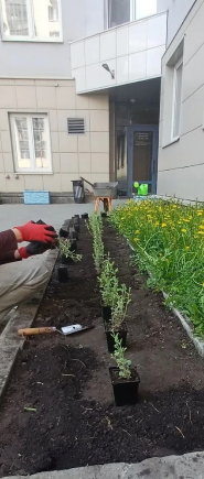 Screenshot_981.png