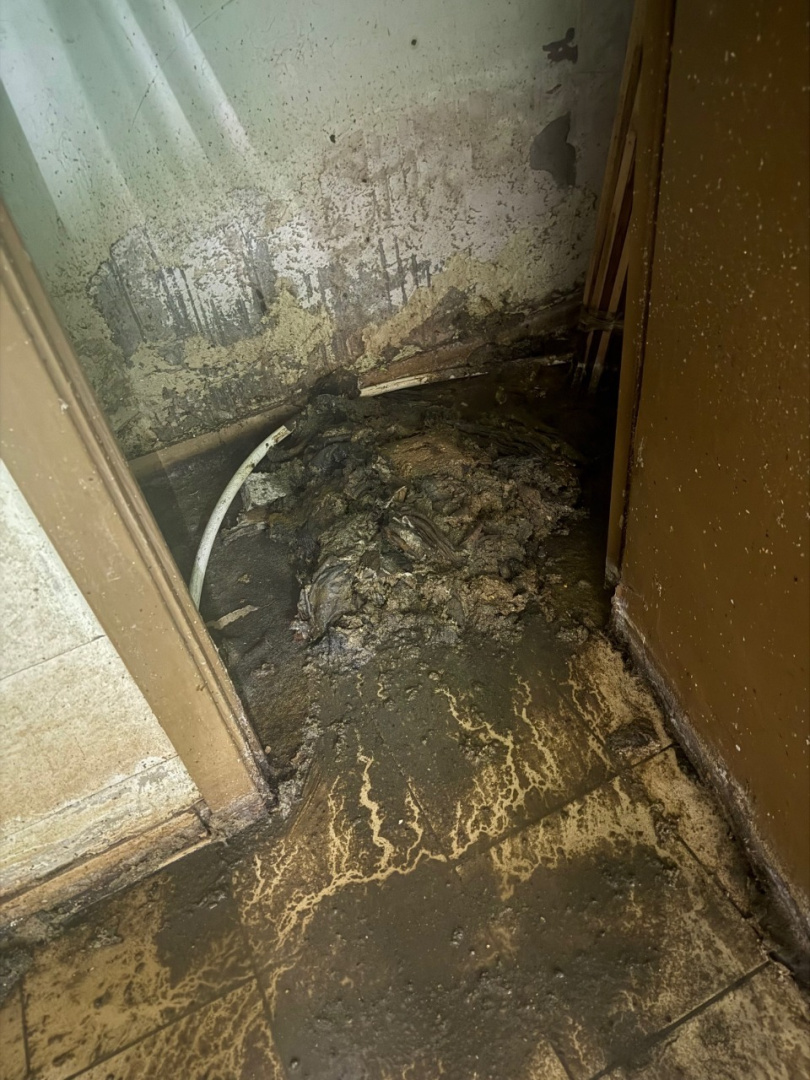 image (259).png